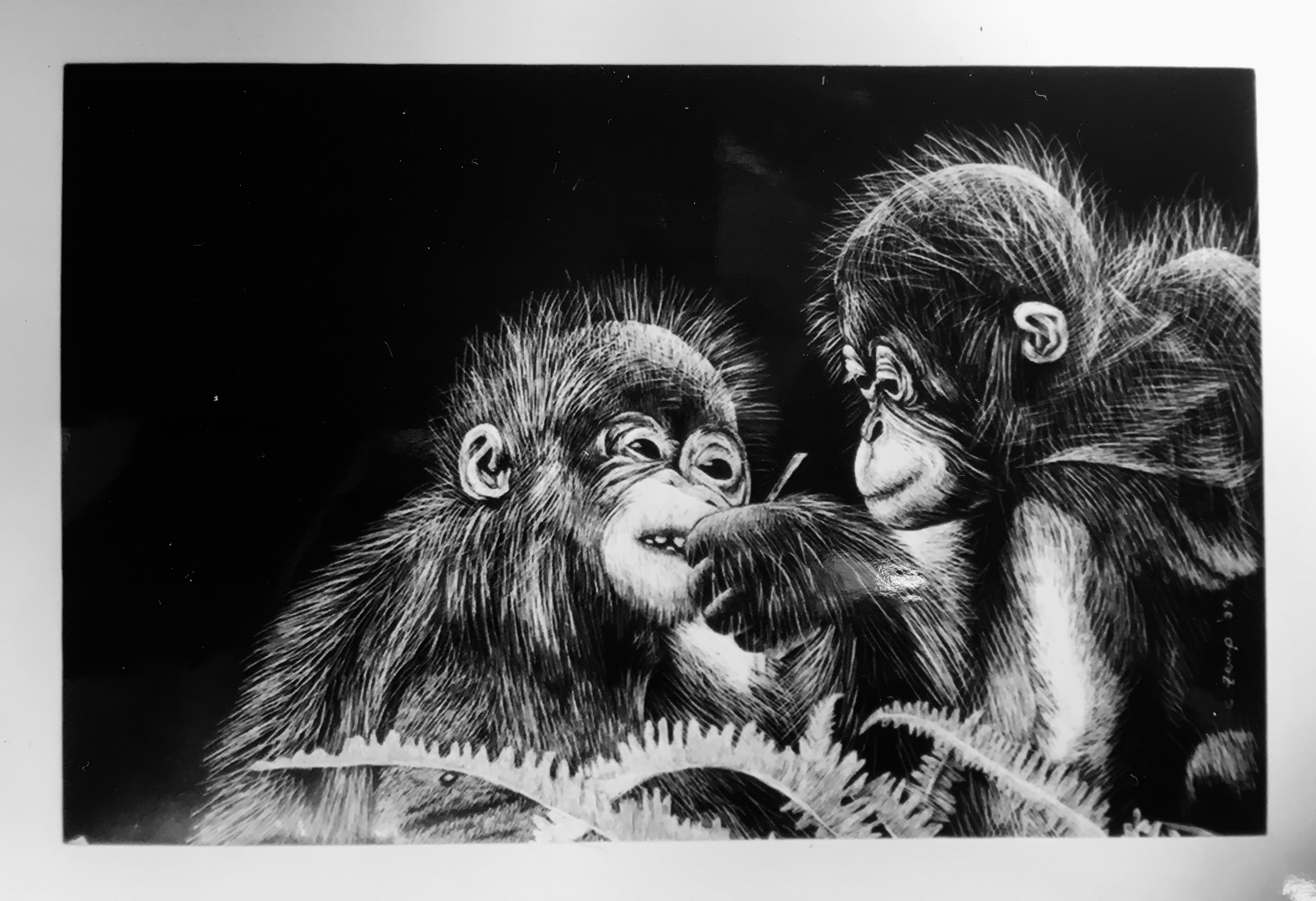 Monkeys in Love (verkauft / sold)